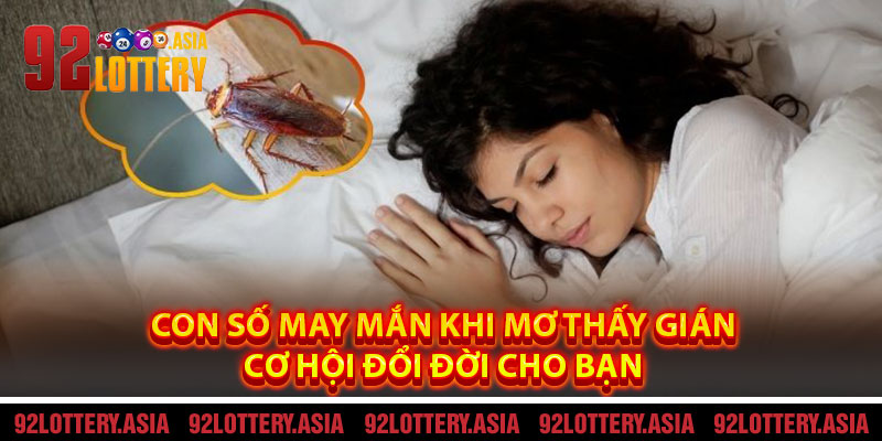 Con Số May Mắn Khi Mơ Thấy Gián – Cơ Hội Đổi Đời Cho Bạn