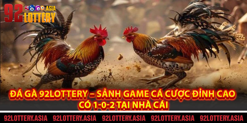 Đá Gà 92LOTTERY – Sảnh Game Cá Cược Đỉnh Cao Có 1-0-2 Tại Nhà Cái
