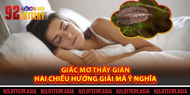 Giấc Mơ Thấy Gián – Hai Chiều Hướng Giải Mã Ý Nghĩa