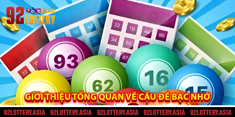 Giới Thiệu Tổng Quan Về Cầu Đề Bạc Nhớ