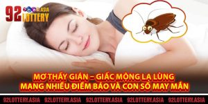 Mơ Thấy Gián – Giấc Mộng Lạ Lùng Mang Nhiều Điềm Báo Và Con Số May Mắn