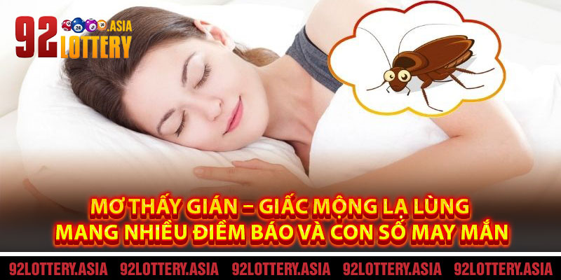Mơ Thấy Gián – Giấc Mộng Lạ Lùng Mang Nhiều Điềm Báo Và Con Số May Mắn