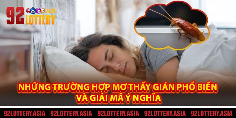 Những Trường Hợp Mơ Thấy Gián Phổ Biến Và Giải Mã Ý Nghĩa